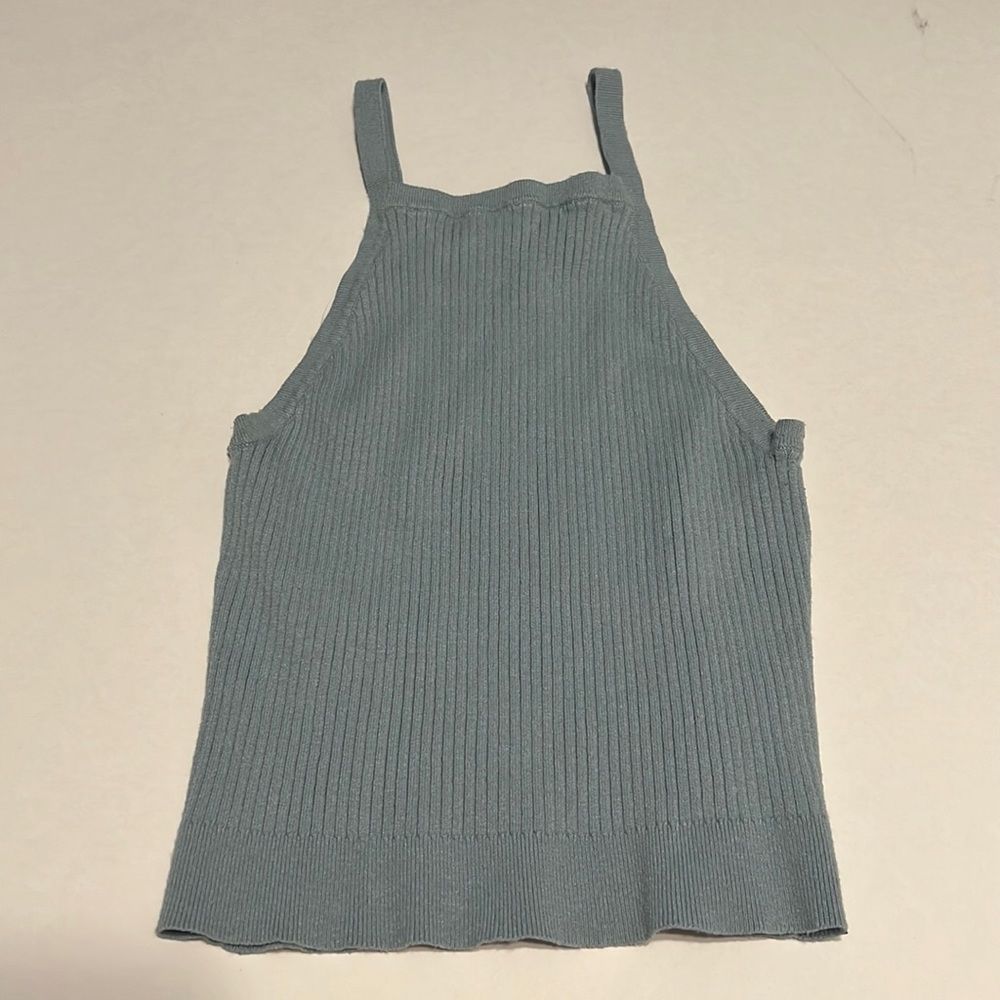 Brandy Melville Crop Top